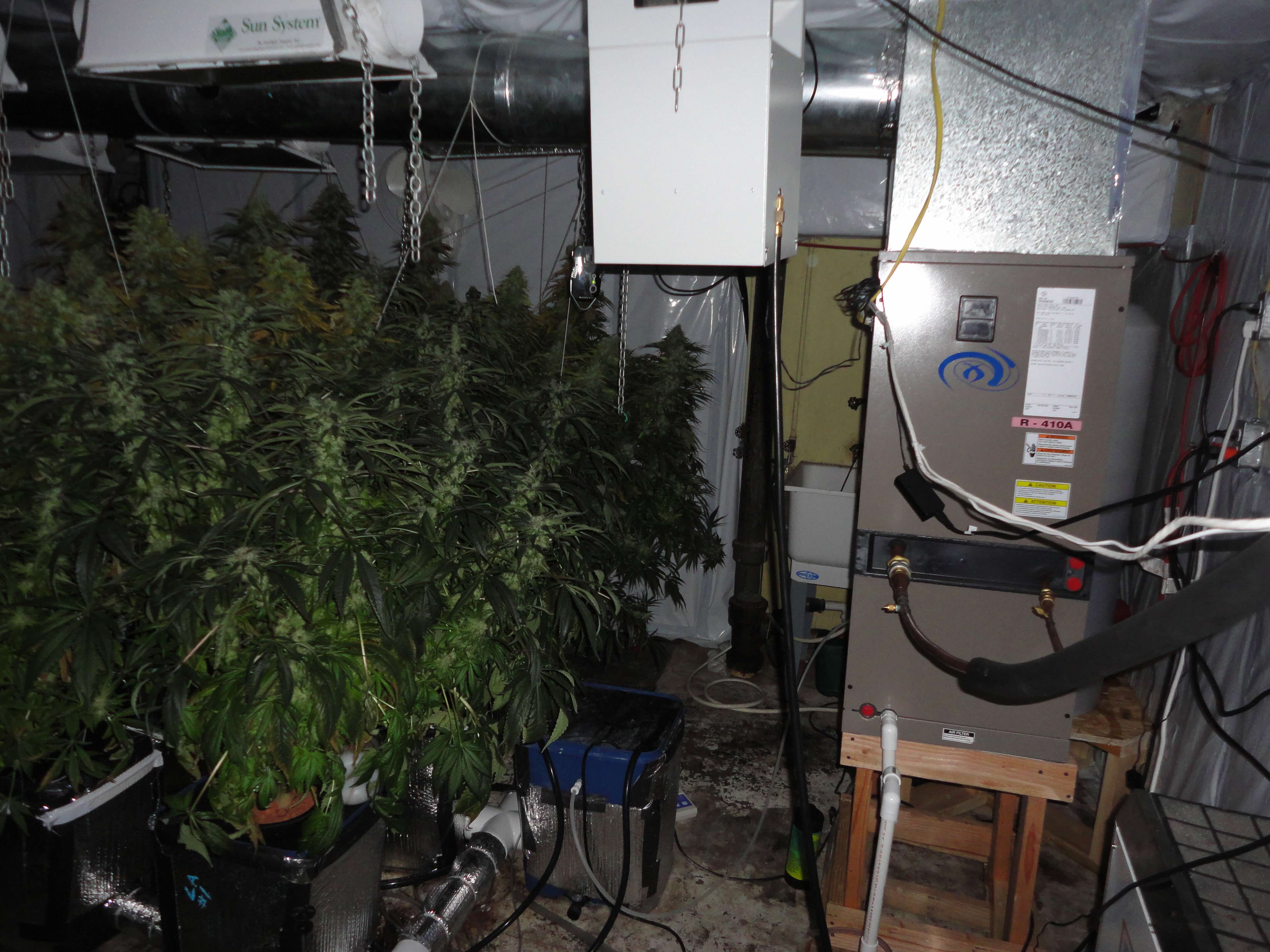 grow room from 2010