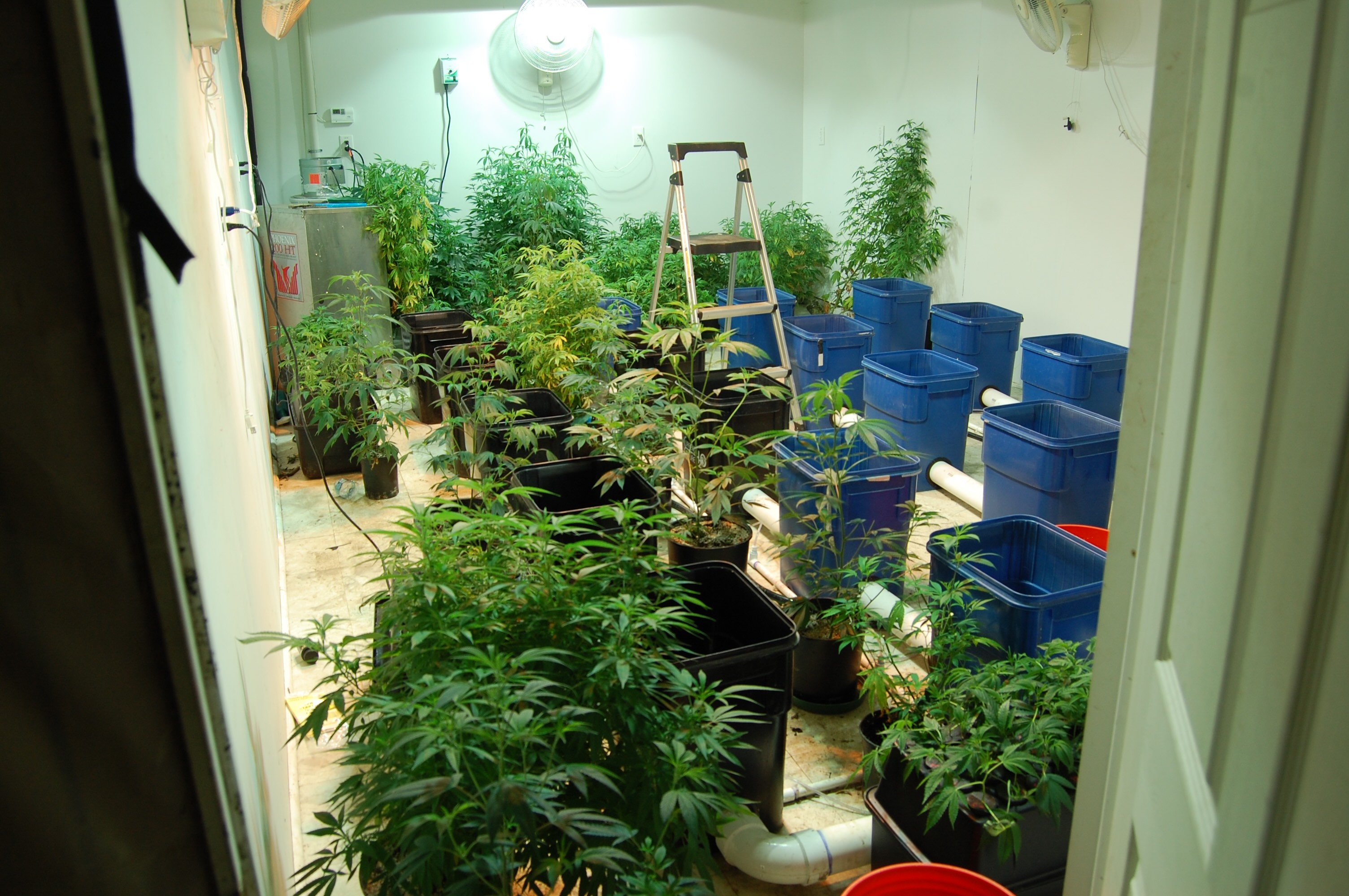 veg room