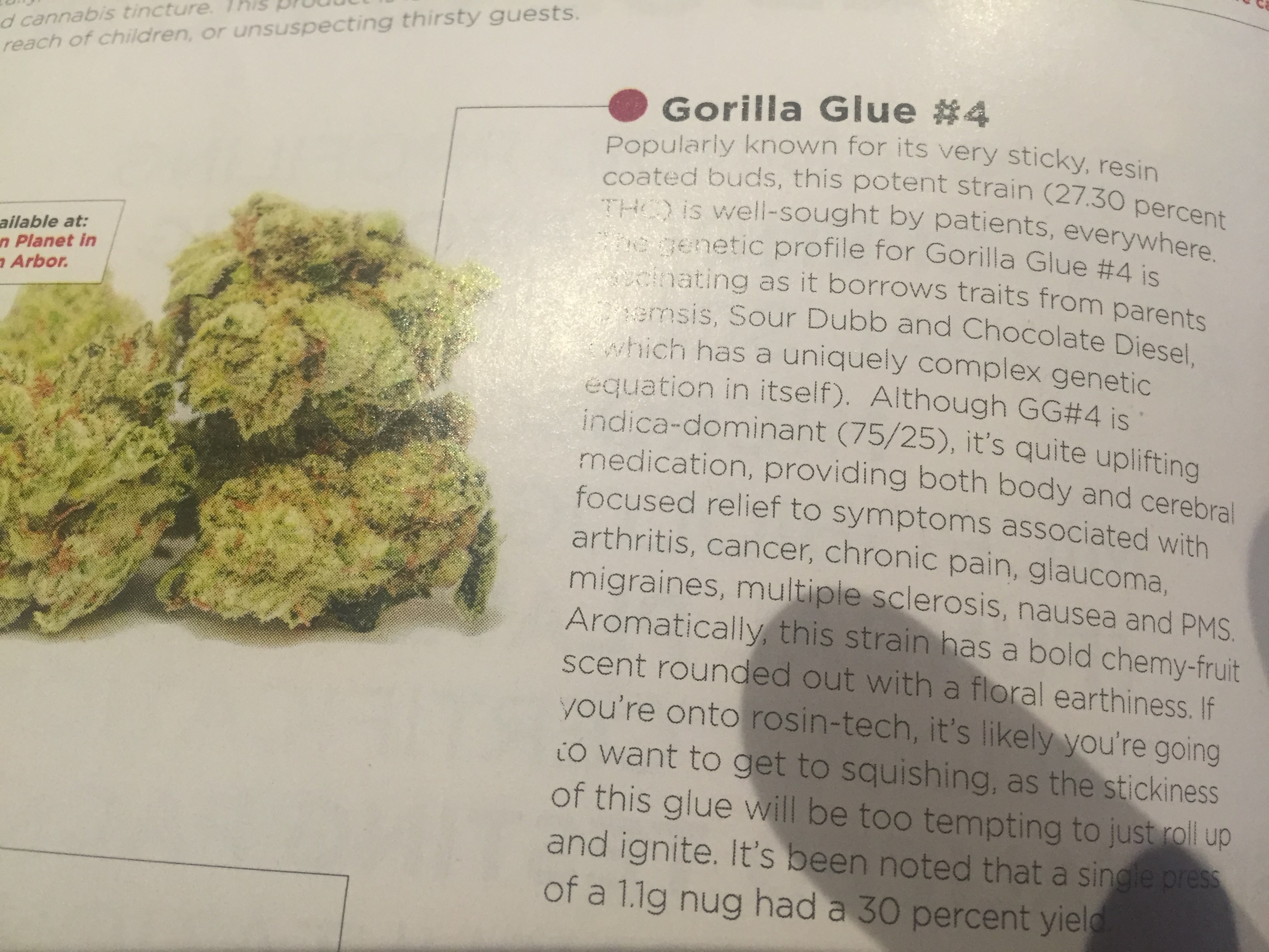 gorilla glu write up